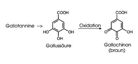 Chemische Reaktion beim Räuchern Chemische Reaktion beim Räuchern